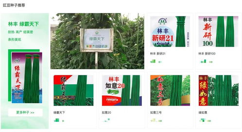 沈阳陵丰种苗商行对接互联网,启动自运营商城 林丰商城